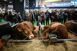 Illustration Agriculturel Fair - Paris