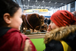 Illustration Agriculturel Fair - Paris