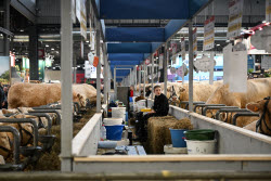 Illustration Agriculturel Fair - Paris