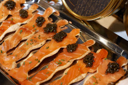 97th Oscars Governors Ball Preview