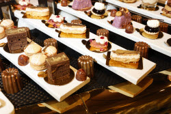 97th Oscars Governors Ball Preview&#xA;