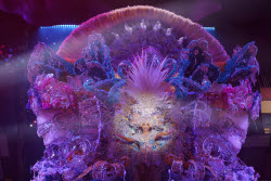 Gala of the Carnival Queen of Tenerife