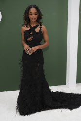 Церемония вручения премии Essence Black Women в Лос-Анджелесе