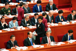 National People's Congress of China