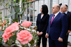 Russia's PM Mishustin at Podosinki greenhouse complex outside Moscow