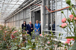 Russia's PM Mishustin at Podosinki greenhouse complex outside Moscow