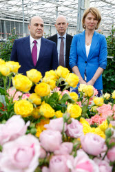 Russia's PM Mishustin at Podosinki greenhouse complex outside Moscow