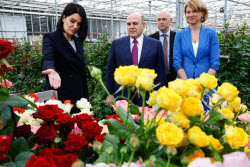Russia's PM Mishustin at Podosinki greenhouse complex outside Moscow