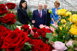 Russia's PM Mishustin at Podosinki greenhouse complex outside Moscow