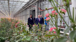 VIDEO. Russia's PM Mishustin at Podosinki greenhouse complex outside Moscow