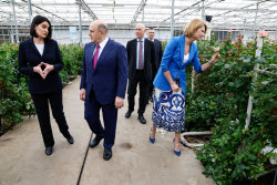 Russia's PM Mishustin at Podosinki greenhouse complex outside Moscow