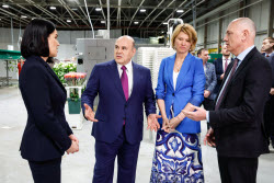 Russia's PM Mishustin at Podosinki greenhouse complex outside Moscow