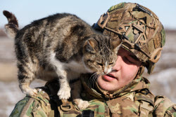 Combat engineers in special military operation zone