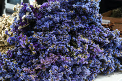 Flowers on sale in Krasnodar in run-up to International Women's Day