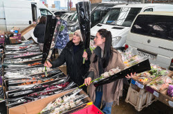Flowers on sale in Krasnodar in run-up to International Women's Day