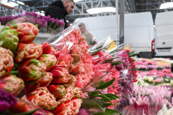 Flowers on sale in Krasnodar in run-up to International Women's Day