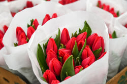 Flowers on sale in Krasnodar in run-up to International Women's Day