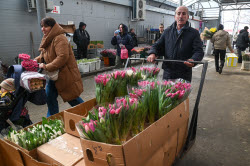 Flowers on sale in Krasnodar in run-up to International Women's Day