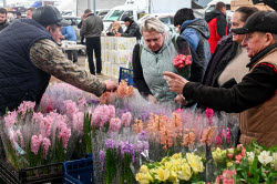 Flowers on sale in Krasnodar in run-up to International Women's Day