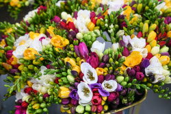 Flowers on sale in Krasnodar in run-up to International Women's Day