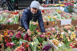 Flowers on sale in Krasnodar in run-up to International Women's Day