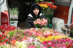Flowers on sale in Krasnodar in run-up to International Women's Day