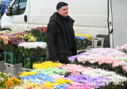 Flowers on sale in Krasnodar in run-up to International Women's Day