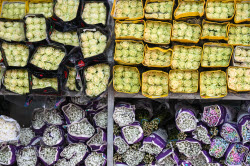 Flowers on sale in Krasnodar in run-up to International Women's Day