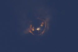 SpaceX Starship Launch. SpaceX Starship Launch