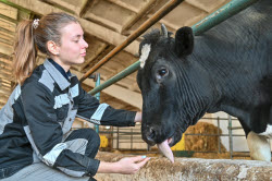 Rassvet commercial dairy farm in Krasnodar Region