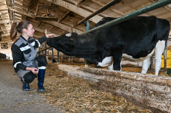 Rassvet commercial dairy farm in Krasnodar Region