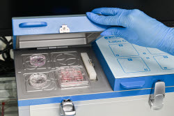 Altragen biotech lab in Krasnodar Region