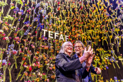 TEFAF art fair in Maastricht