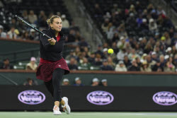 Indian Wells Tennis. Indian Wells Tennis