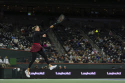 Indian Wells Tennis. Indian Wells Tennis