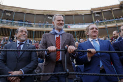 Fallas Festival in Valencia