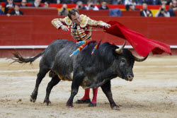 Fallas Festival in Valencia