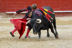 Fallas Festival in Valencia