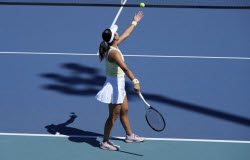 Miami Open Tennis. Miami Open Tennis