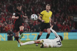 England Albania WCup Soccer. England Albania WCup Soccer