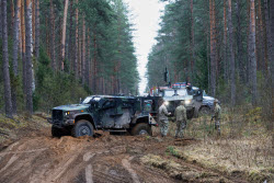 Четверо военнослужащих армии США пропали после учений на полигоне Пабраде в Литве