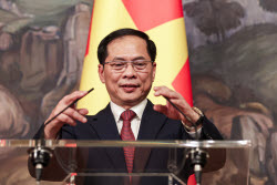 Foreign ministers of Russia and Vietnam meet in Moscow