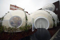 Osaka 2025 Expo opens to the public