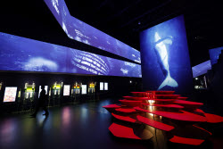 Osaka 2025 Expo opens to the public