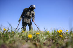 Field demining in Lugansk People's Republic
