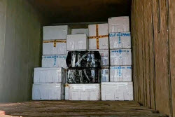 Security Service foils smuggling crabs out of Russia in Primorye Region