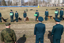 Чемпионат среди специалистов-кинологов в Екатеринбурге
