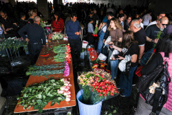 Yerevan marks 110th anniversary of Armenian Genocide