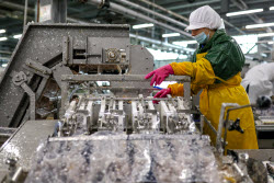 Fish processing plant in Sakhalin Region, Russia