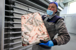 Fish processing plant in Sakhalin Region, Russia